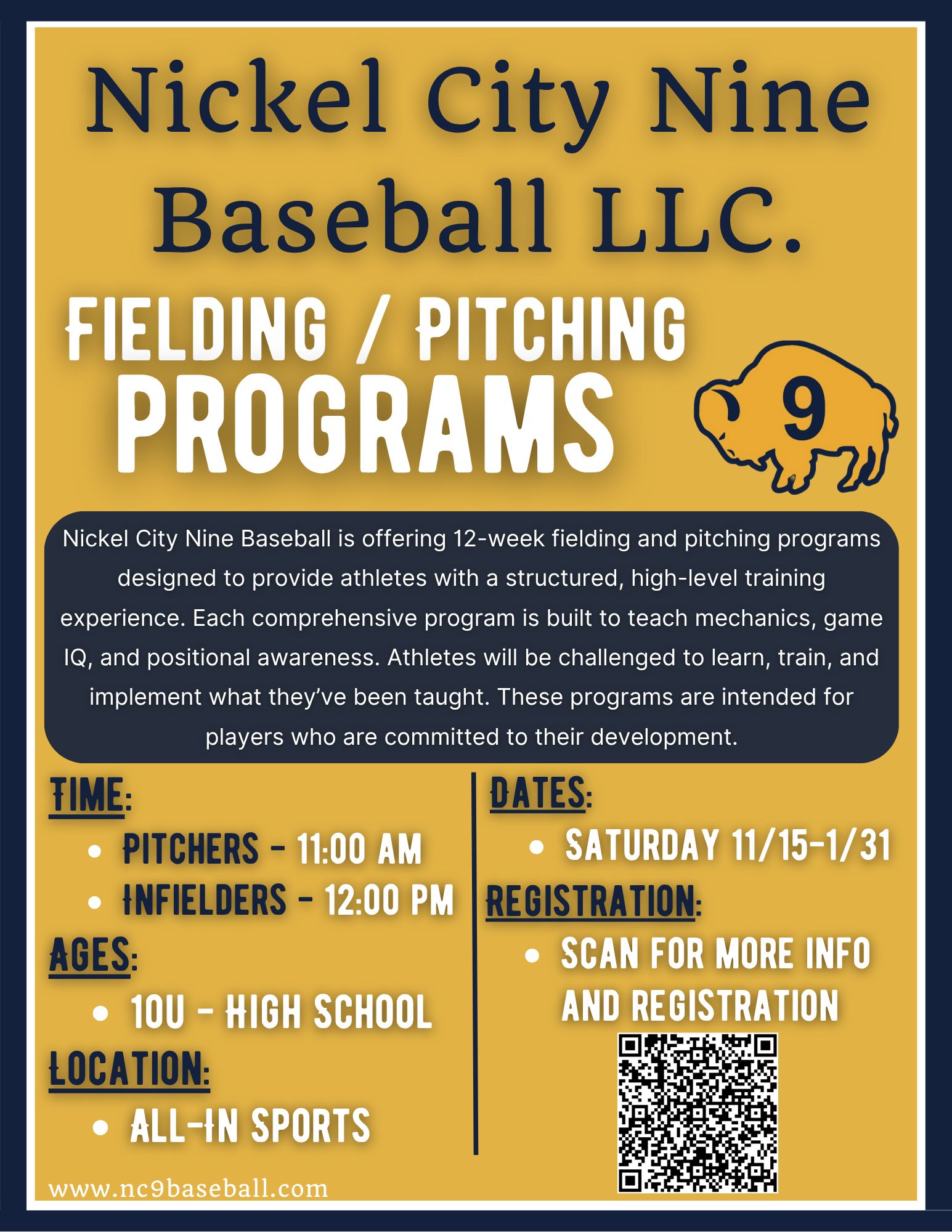 Nickel City Nine 2025/2026 Flyer